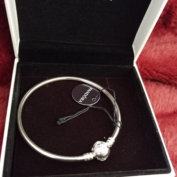 Valentine's Day  7.5" Pandora Bracelet Silver - Picture 4 of 7